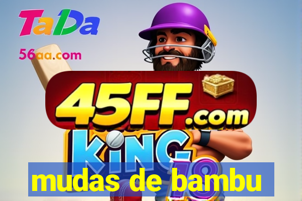 mudas de bambu